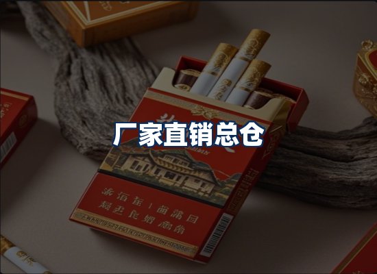 专业团队办公环境